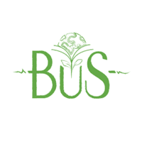 Building Up Sustainability Centre logo